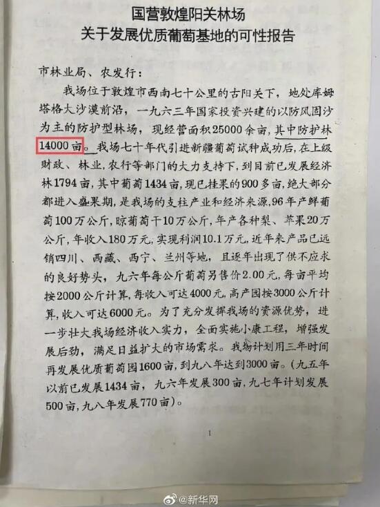 “肆意砍伐种植葡萄园”？甘肃产区行业人士：这个锅我们不能背！