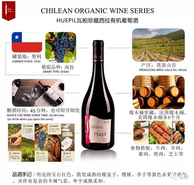 6.3-5 Interwine丨有机葡萄酒大热，下一个葡萄酒市场 “新风口”？