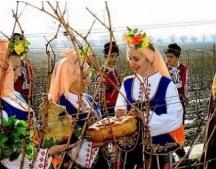 保加利亚葡萄酒领域是发展最稳定的领域之一