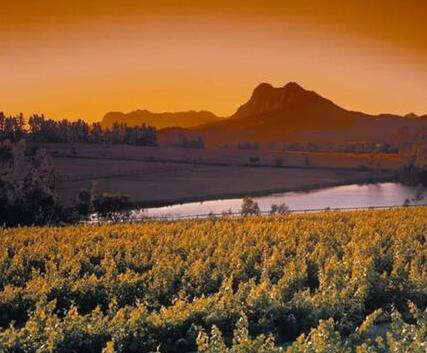 2019年南非葡萄酒产量有可能会下降