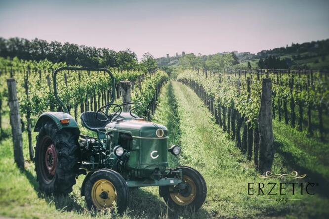 精品+小众，2021斯洛文尼亚如何开疆拓土中国葡萄酒市场？