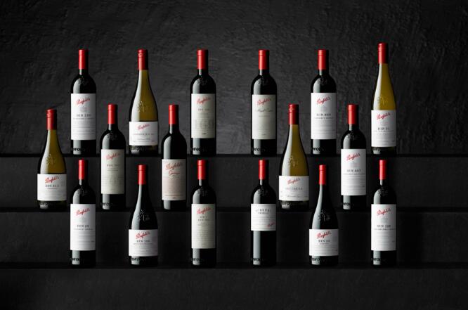 奔富发布2020“珍藏系列”新年份葡萄酒，Tom King：未来持续投资中国业务