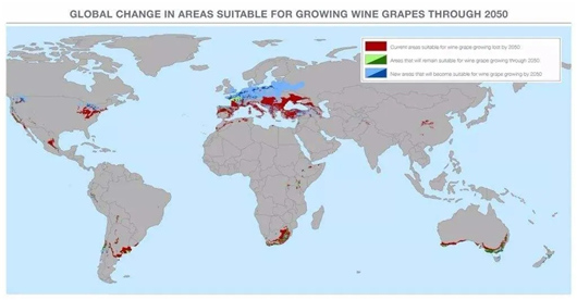 全球变暖会导致勃艮第黑皮诺地位发生撼动吗？