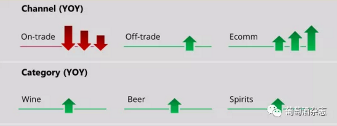 最新数据！中国酒水市场回暖，白葡萄酒、起泡酒搜索量增长明显