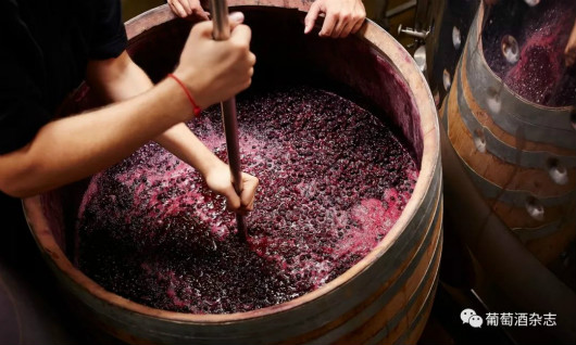 国产葡萄酒产量6年降61%，“下蹲”是为了跳得更高！