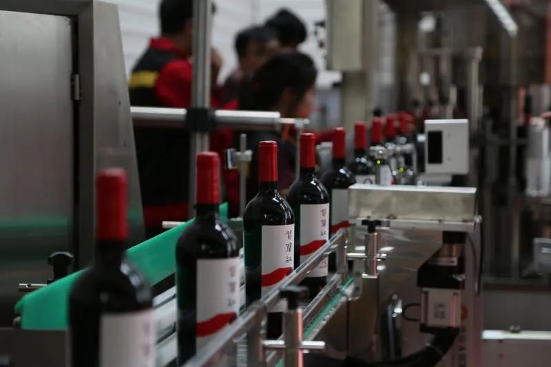 120万+阅读，新华社镜头下的宁夏葡萄酒缘何“诱人”？
