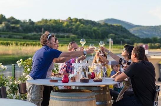 法国罗纳河谷葡萄酒成为中国消费者的主流选择之一