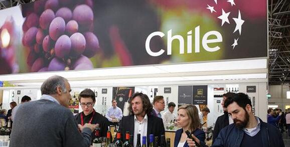 中国占据智利葡萄酒的大部分市场份额