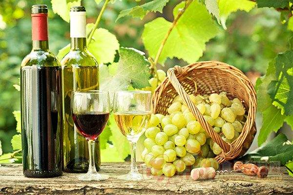葡萄酒从什么时候起源的呢?