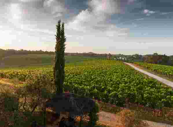 意大利最佳葡萄酒产区指南
