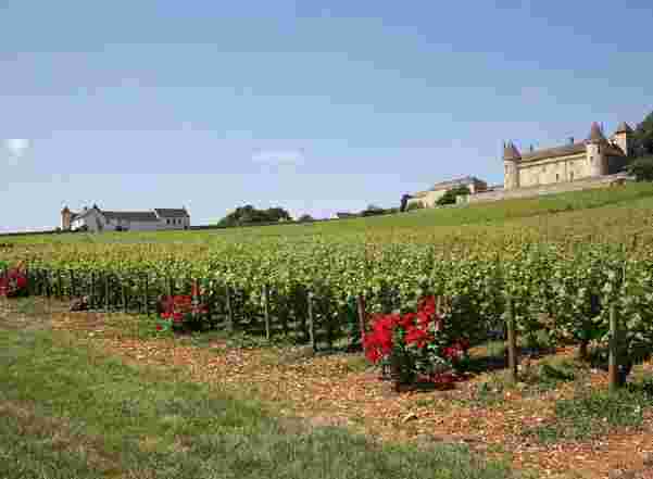 法国勃艮第葡萄酒产区历史、气候和品种指南