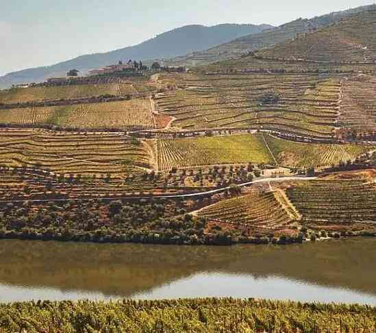 带你走进“一带一路”上的葡萄牙——葡萄酒王国