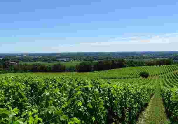 法国波尔多葡萄酒产区指南