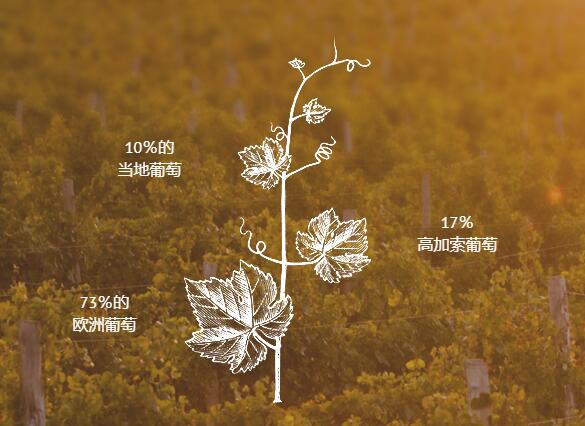 摩尔多瓦葡萄酒古往今来 摩尔多瓦红酒酿造文化