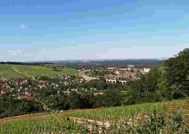 葡萄酒文化指南 奥地利的葡萄酒产区