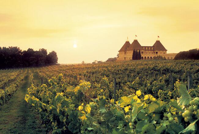 法国葡萄酒闻名的十大产区 法国葡萄酒文化的产地