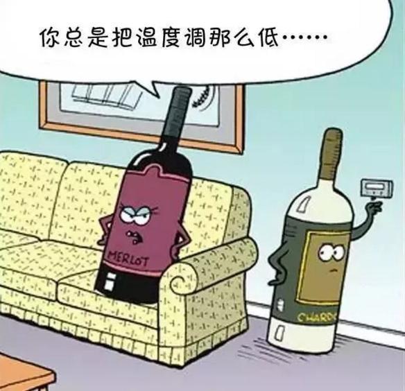 冬天的葡萄酒应该怎么储存？