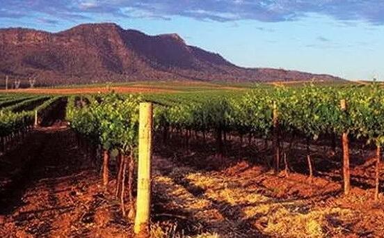 澳大利亚的9个葡萄酒产地