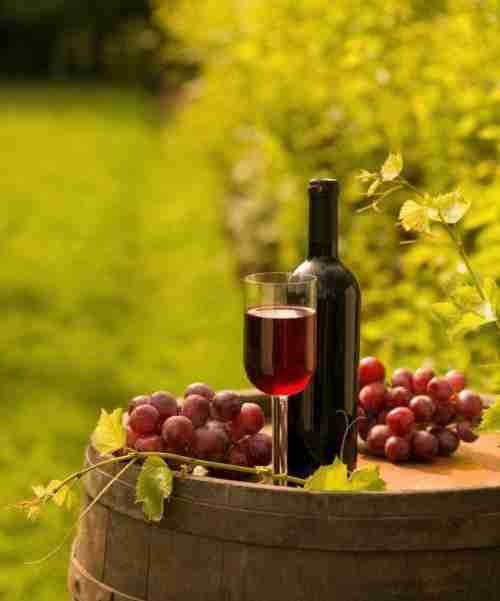 怎样的葡萄酒才是比较适合窖藏的呢？大家知道哪款吗？