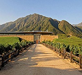 酒庄消息：蒙特斯酒庄 Montes Wines