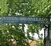 酒庄消息：瓦拉多酒庄 Quinta do Vallado