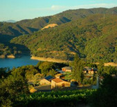 酒庄介绍：山脊酒庄 Ridge Vineyards