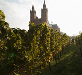 酒庄资料：雨博酒庄 Weingut Bernhard Huber