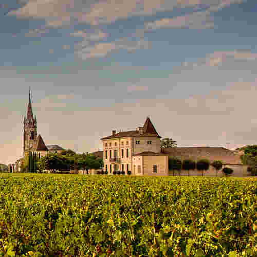 酒庄信息：帕图斯之花酒庄（又名：柏图斯之花酒庄） Chateau La Fleur-Petrus