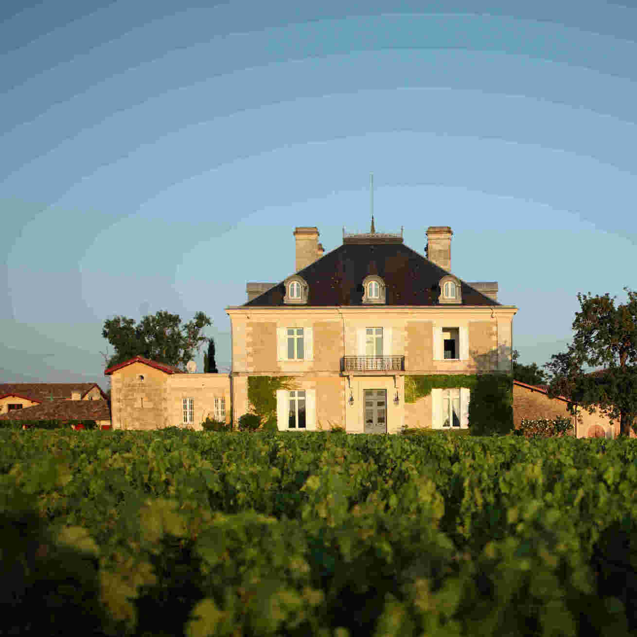 酒庄介绍：高柏丽酒庄 Chateau Haut-Bailly