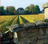 酒庄信息：拉芳酒庄 Domaine des Comtes Lafon