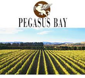 酒庄信息：飞马湾酒庄 Pegasus Bay