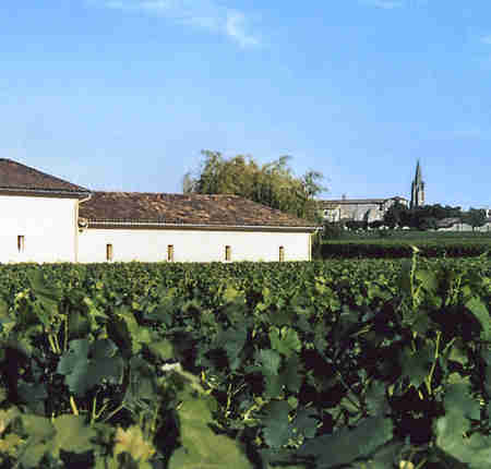 酒庄介绍：格兰庞特酒庄 Chateau Grand-Pontet