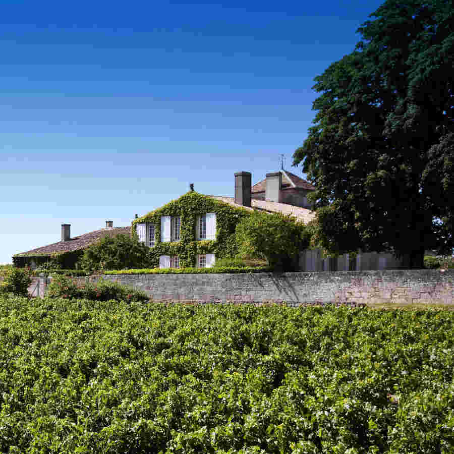酒庄信息：拉赛尔酒庄 Chateau La Serre