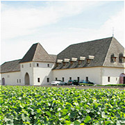 酒庄介绍：马沙内酒庄 Chateau de Marsannay