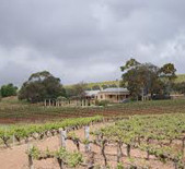 酒庄介绍：格林诺克酒庄 Greenock Creek Vineyard