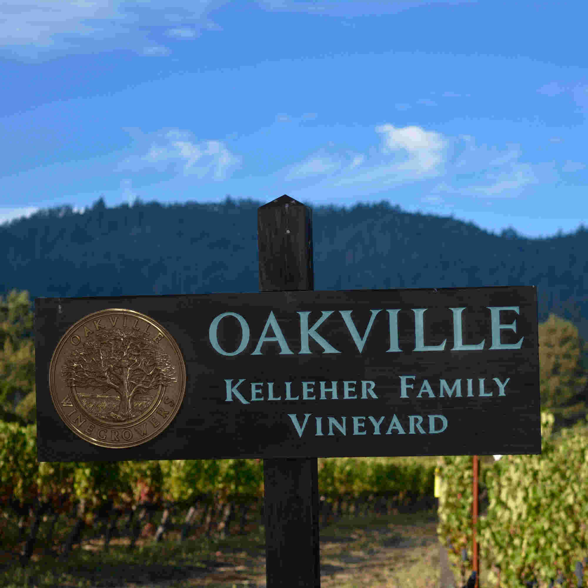 酒庄介绍：凯莱赫酒庄 Kelleher Family Vineyard