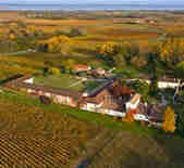 酒庄消息：斯歌纳酒庄 Chateau Sigognac