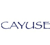 酒庄介绍：凯尤斯酒庄 Cayuse Vineyards