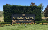 酒庄消息：玛姆纳帕酒庄 Mumm Napa