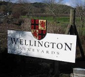 酒庄简介：惠灵顿酒庄 Wellington Vineyards