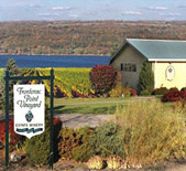 酒庄介绍：弗兰提纳酒庄 Frontenac Point Vineyard & Estate Winery