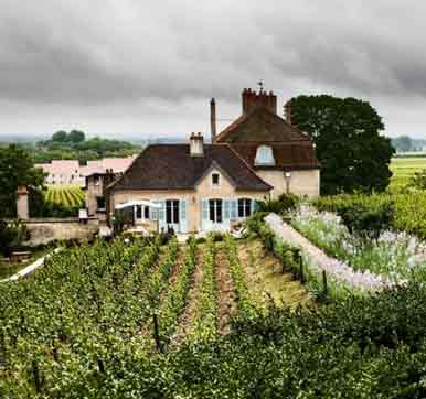 酒庄介绍：德拉尔劳酒庄 Domaine de l'Arlot