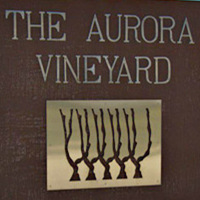 酒庄资料：欧若拉酒庄 Aurora Wines