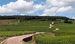酒庄简介：杰拉德·慕尼酒庄 Domaine Gerard Mugneret