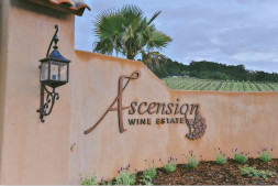 酒庄简介：阿森松酒庄 Ascension Wine Estate