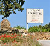 酒庄简介：奥维特酒庄 Domaine de l'Olivette