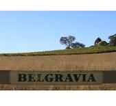 酒庄介绍：贝维雅酒庄 Belgravia Wines