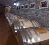 酒庄消息：裕樽酒庄 Yuzun Winery