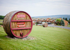 酒庄信息：格伦诺拉酒庄 Glenora Wine Cellars