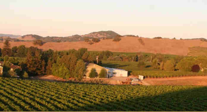 酒庄简介：卡内罗斯集团 Carneros Wine Company